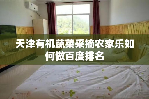 天津有机蔬菜采摘农家乐如何做百度排名
