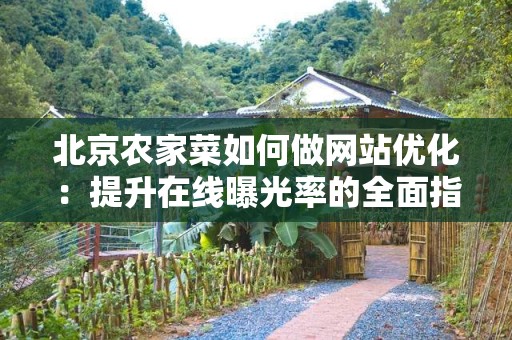 北京农家菜如何做网站优化：提升在线曝光率的全面指南