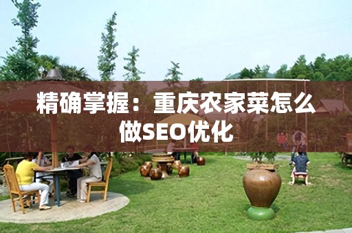 精确掌握：重庆农家菜怎么做SEO优化