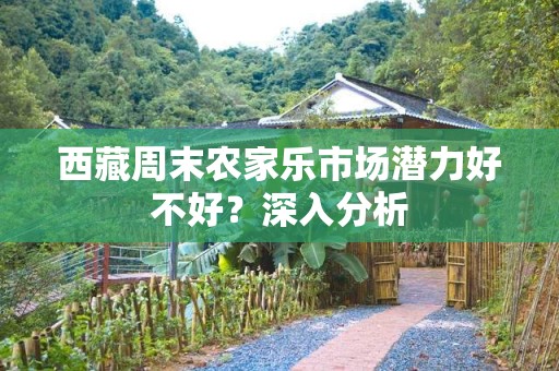 西藏周末农家乐市场潜力好不好？深入分析