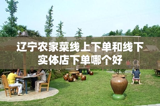 辽宁农家菜线上下单和线下实体店下单哪个好