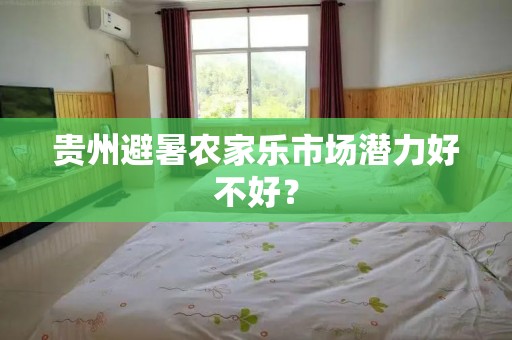 贵州避暑农家乐市场潜力好不好？