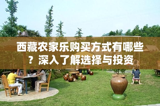 西藏农家乐购买方式有哪些？深入了解选择与投资