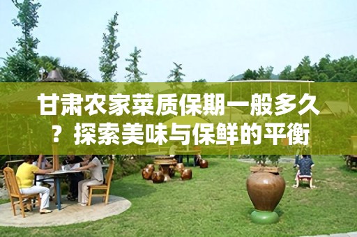 甘肃农家菜质保期一般多久？探索美味与保鲜的平衡