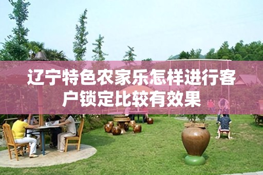 辽宁特色农家乐怎样进行客户锁定比较有效果