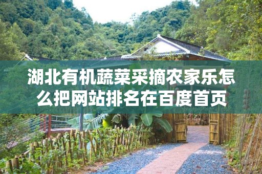 湖北有机蔬菜采摘农家乐怎么把网站排名在百度首页