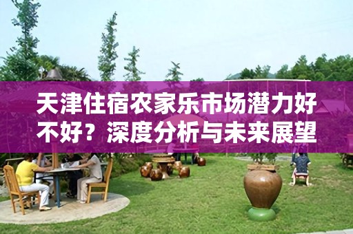 天津住宿农家乐市场潜力好不好？深度分析与未来展望