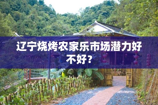 辽宁烧烤农家乐市场潜力好不好？