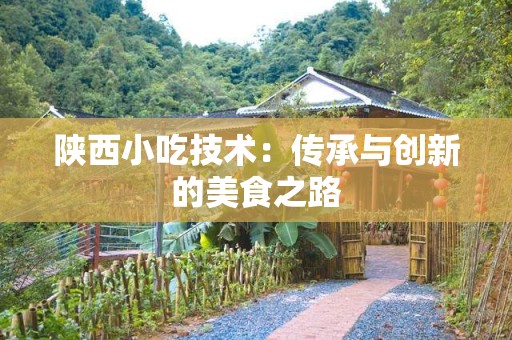 陕西小吃技术：传承与创新的美食之路