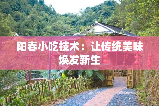 阳春小吃技术：让传统美味焕发新生