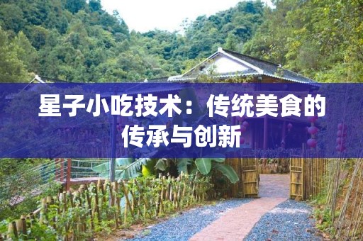 星子小吃技术：传统美食的传承与创新