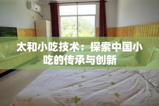 太和小吃技术：探索中国小吃的传承与创新