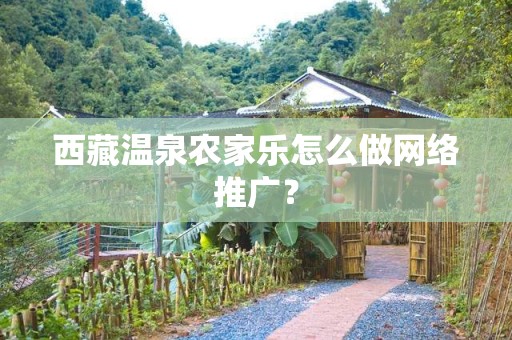 西藏温泉农家乐怎么做网络推广？