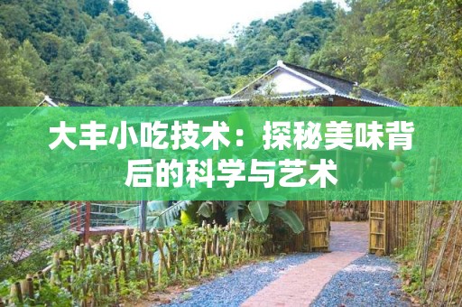 大丰小吃技术：探秘美味背后的科学与艺术