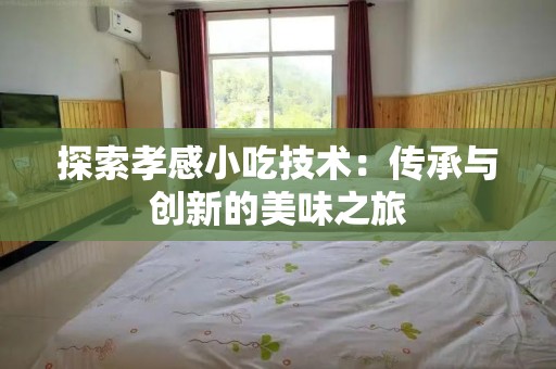 探索孝感小吃技术：传承与创新的美味之旅