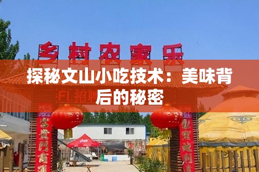 探秘文山小吃技术：美味背后的秘密