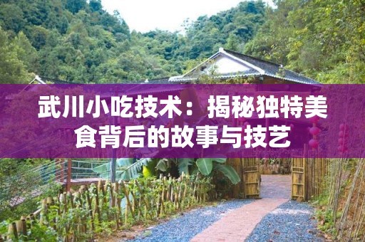 武川小吃技术：揭秘独特美食背后的故事与技艺