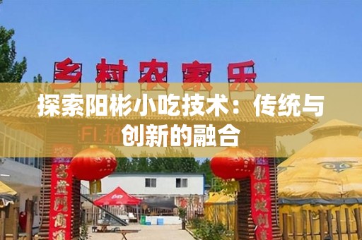 探索阳彬小吃技术：传统与创新的融合