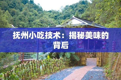 抚州小吃技术：揭秘美味的背后