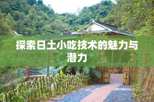 探索日土小吃技术的魅力与潜力