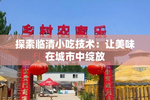探索临清小吃技术：让美味在城市中绽放