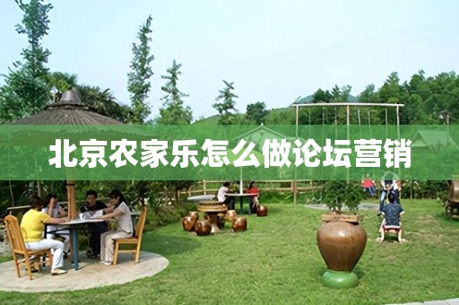 北京农家乐怎么做论坛营销