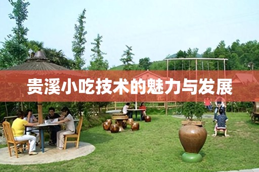 贵溪小吃技术的魅力与发展