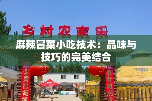麻辣冒菜小吃技术：品味与技巧的完美结合