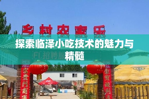 探索临泽小吃技术的魅力与精髓
