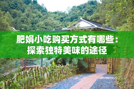 肥娟小吃购买方式有哪些：探索独特美味的途径