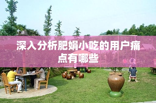 深入分析肥娟小吃的用户痛点有哪些