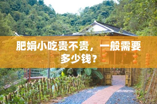 肥娟小吃贵不贵，一般需要多少钱？