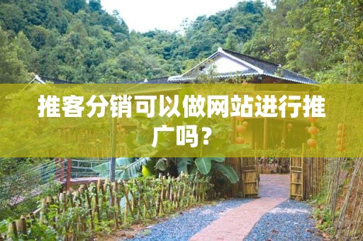 推客分销可以做网站进行推广吗？