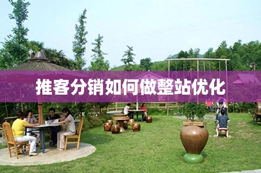 推客分销如何做整站优化