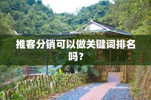 推客分销可以做关键词排名吗？