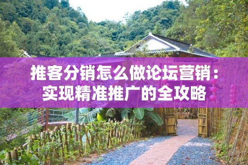 推客分销怎么做论坛营销：实现精准推广的全攻略