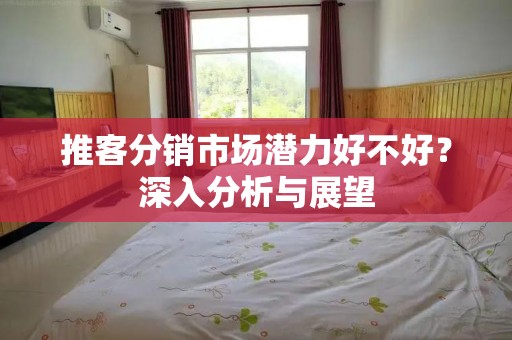 推客分销市场潜力好不好？深入分析与展望