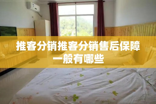 推客分销推客分销售后保障一般有哪些