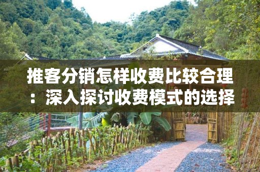 推客分销怎样收费比较合理：深入探讨收费模式的选择