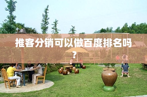 推客分销可以做百度排名吗？