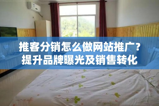 推客分销怎么做网站推广？提升品牌曝光及销售转化