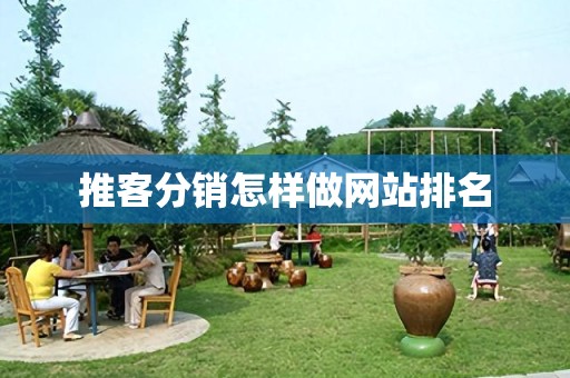推客分销怎样做网站排名