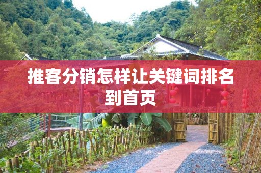 推客分销怎样让关键词排名到首页