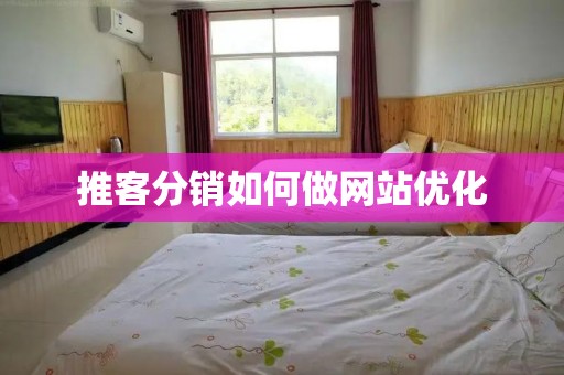 推客分销如何做网站优化