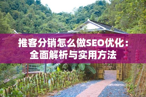 推客分销怎么做SEO优化：全面解析与实用方法