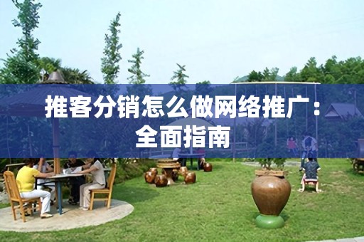 推客分销怎么做网络推广：全面指南