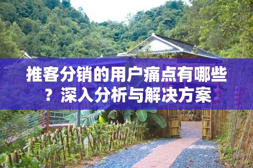 推客分销的用户痛点有哪些？深入分析与解决方案