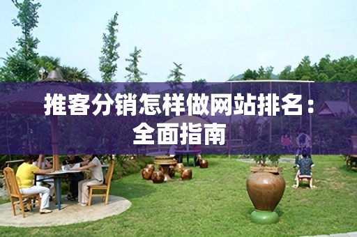 推客分销怎样做网站排名：全面指南