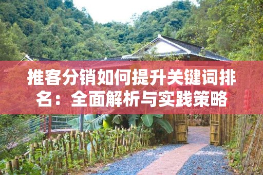 推客分销如何提升关键词排名：全面解析与实践策略