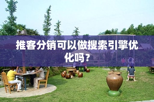 推客分销可以做搜索引擎优化吗？